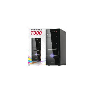 [단종]T300